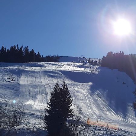 Korlape Apartman 4.2 Wolfsberg Dış mekan fotoğraf