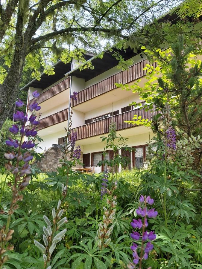 Korlape Apartman 4.2 Wolfsberg Dış mekan fotoğraf