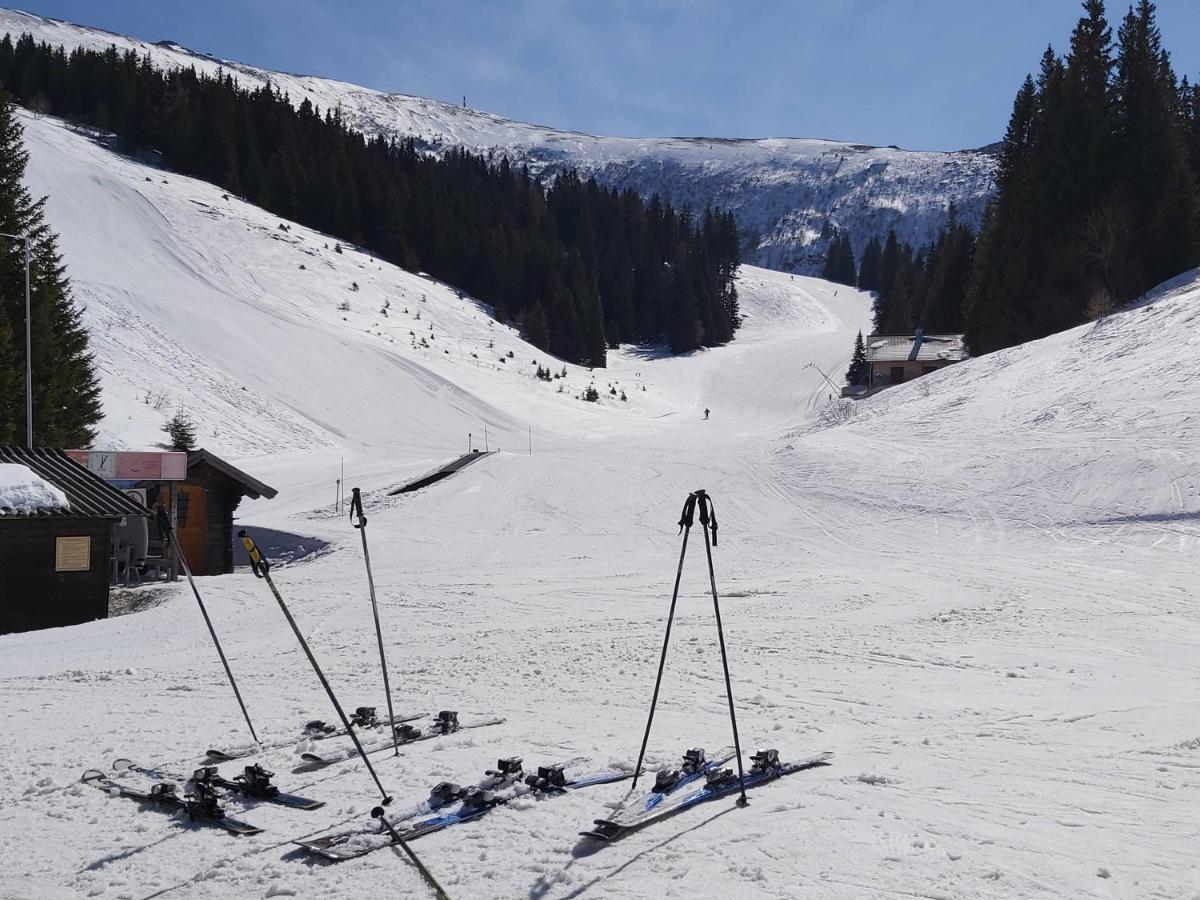 Korlape Apartman 4.2 Wolfsberg Dış mekan fotoğraf