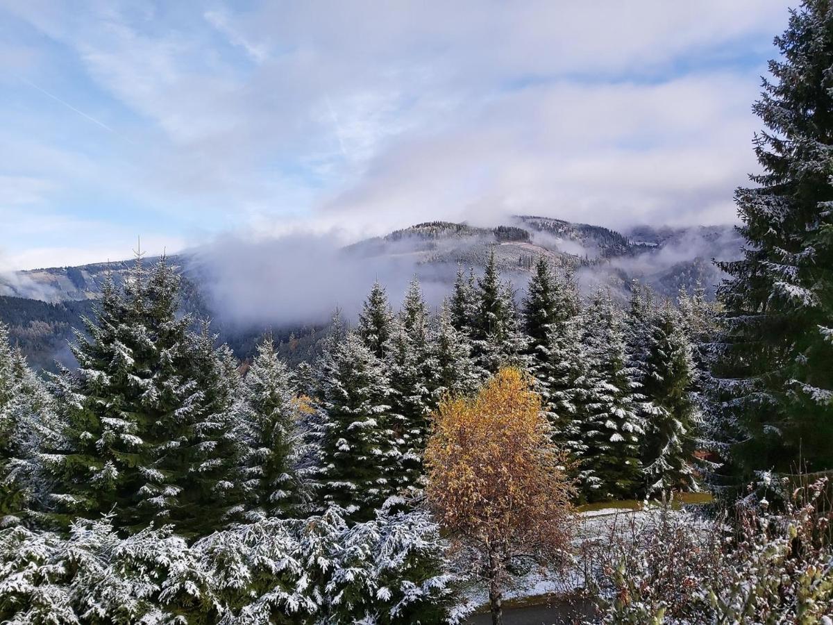 Korlape Apartman 4.2 Wolfsberg Dış mekan fotoğraf