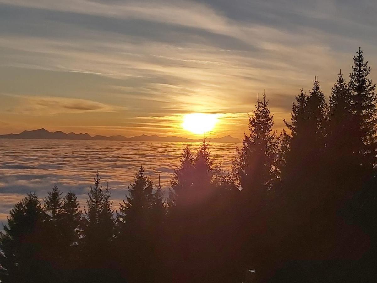 Korlape Apartman 4.2 Wolfsberg Dış mekan fotoğraf