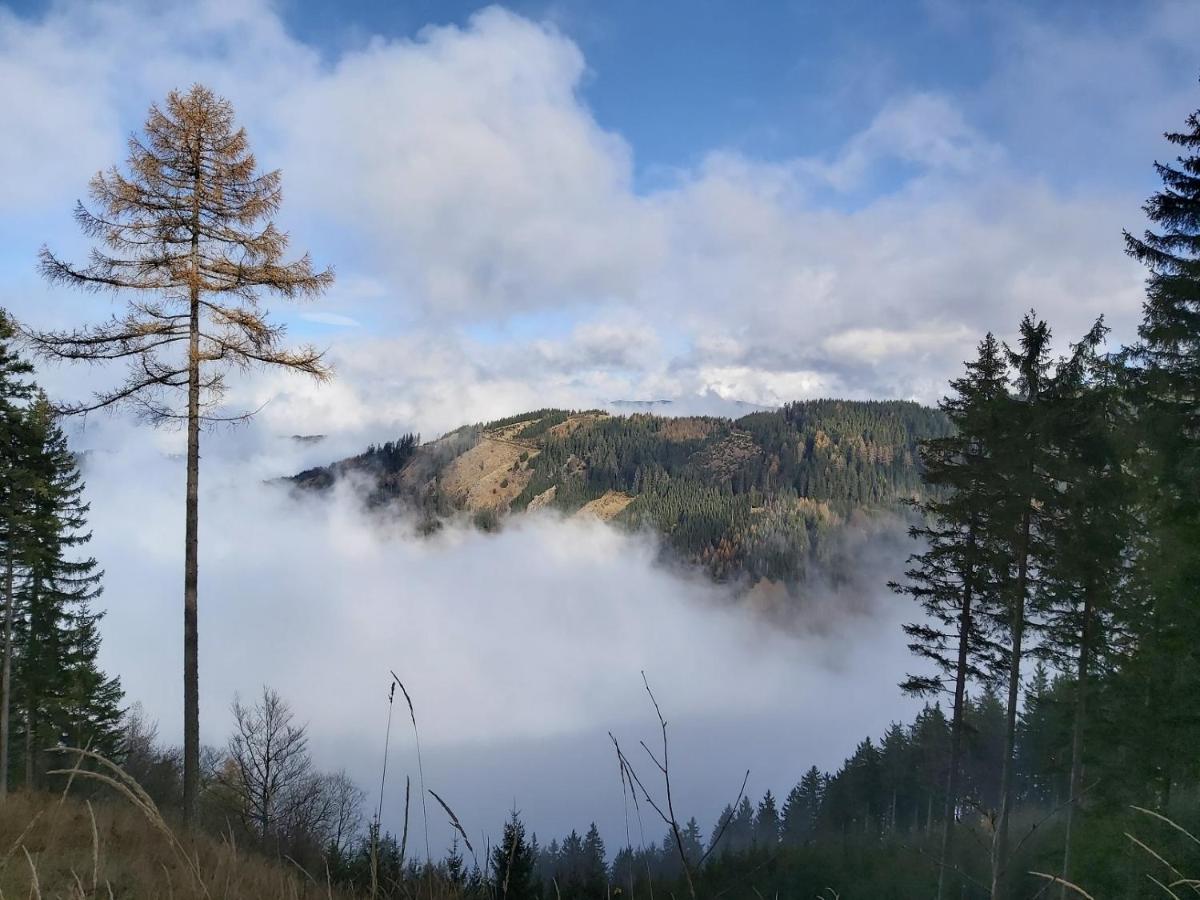Korlape Apartman 4.2 Wolfsberg Dış mekan fotoğraf
